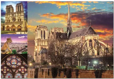 Image de Educa Puzzle 9218456 - Notre Dame Collage - 1000 pièces Puzzle