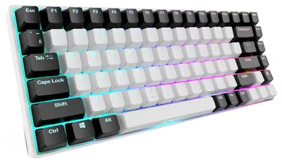 Produktbild von Sharkoon SKILLER SGK50 S3, Kabelgebunden, USB, Mechanischer Switch, QWERTY, RGB-LED, Weiß
