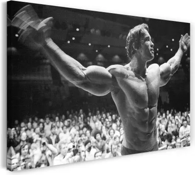 Produktbild von Leinwandbild (120x80cm): Arnold Schwarzenegger in Siegerpose Arme hebend peitscht Publikum an, echter Holz-Keilrahmen inkl. Aufhänger, handgefertigt in Deutschland
