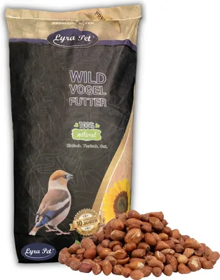 Produktbild von 25 kg Lyra Pet® Erdnusskerne mit Haut