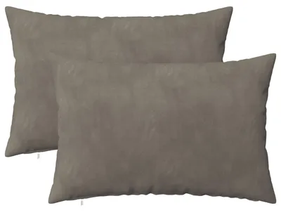 Image de vidaXL Coussins décoratifs HEERLEN, lot de 2, gris clair, velours