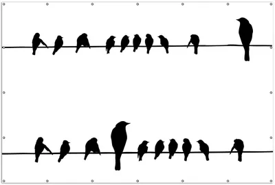 Produktbild von Wallario XXL Outdoor-Poster für Garten oder Balkon, Motiv Vögel auf einer Stromleitung, in ca. 300 x 200 cm