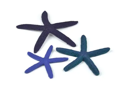 Produktbild von biOrb Seestern Set 3 blau (46143)