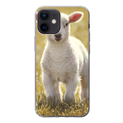 Produktbild von MuchoWow® Handyhülle Schutzhülle Hülle für iPhone 12 Schafe - Gras - Sonne Silikon Softcase Handy Hülle - Schutzhülle