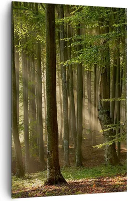 Produktbild von Bild auf Leinwand - Leinwandbild - Einteilig - Wald Baum Natur - 80x120cm - Wand Bild - Wanddeko - Wandbilder - Leinwanddruck - Kunstdruck - Wanddekoration - Leinwand bilder - Wandbild - PA80x120-3628