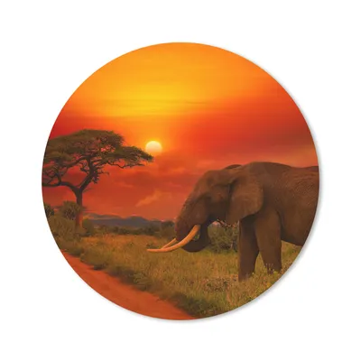 Produktbild von MuchoWow® Mauspad Mousepad Elefant - Sonnenuntergang - Orange - Savanne - Tiere 40x40 cm - Mousepads - Maus Mat - Pad - Mausunterlage - Schreibtisch Accessoires