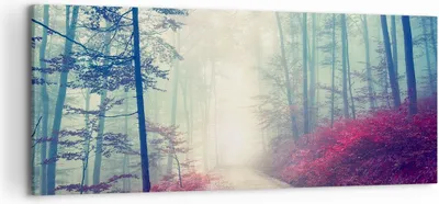 Produktbild von Bild auf Leinwand - Leinwandbild - Wald Baum Natur - 120x50cm - Wand Bild - Wanddeko - Wandbilder - Leinwanddruck - Bilder - Kunstdruck - Wanddekoration - Leinwand bilder - Wandkunst - AB120x50-3667