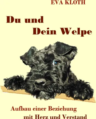 Produktbild von Du und Dein Welpe