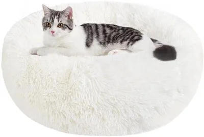 Produktbild von Weiches rundes Plüsch-Hundekissen, waschbar, S-XXL, weiß