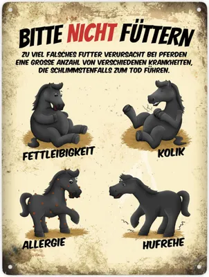 Produktbild von Bitte nicht füttern Metallschild XXL mit schwarze Pferde Motiv Schild