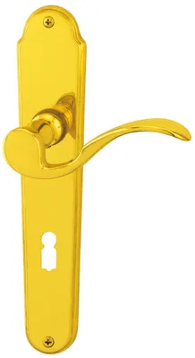 Produktbild von Südmetall Türgriff-Garnitur Langschild Panda BB Messing poliert gold 225 x 40 mm