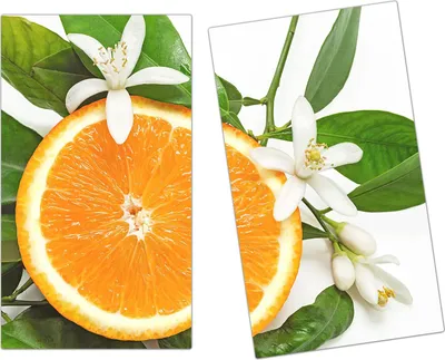 Produktbild von Spritzschutz Herdabdeckplatte Schneidebrett aus Glas Orangenschnitz auf Blätter 2-Teilig (60x52cm)
