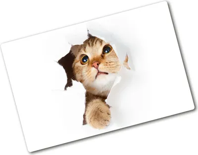 Produktbild von Tulup Glas Herdabdeckplatte - 80x52 cm - Glaskeramikkochfeld-Abdeckung Spritzschutz Glasabdeckplatte - Einteilig - Tiere - Katze im Loch - Beige