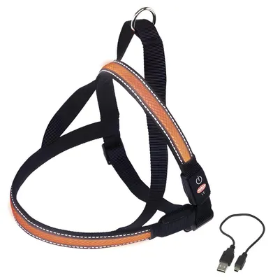 Produktbild von Nobby Norweger Geschirr Flash Mesh orange, Größe: XL / Breite: 38 mm
