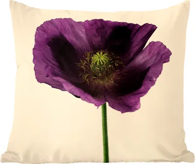Produktbild von MuchoWow® Zierkissen Sofakissen Wohnzimmer Dekokissen 40x40 cm Nahaufnahme eines violetten Mohns - Foto Kissen - Schlafzimmer Dekoration