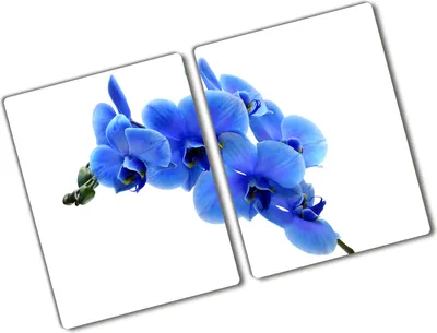 Produktbild von Tulup Glas Herdabdeckplatte - 2x40x52 cm - Glaskeramikkochfeld-Abdeckung Spritzschutz Glasabdeckplatte Kochplattenabdeckung und Schneidebrett - Zweiteilig - Blumen & Pflanzen - Blaue Orchidee - Blau