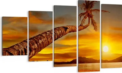 Produktbild von Bild auf Leinwand - Leinwandbild - Palme Landschaft Sonne - 100x60cm - Wand Bild - Wanddeko - Leinwanddruck - Bilder - Kunstdruck - Wanddekoration - Leinwand bilder - Wandkunst - EG100x60-0162