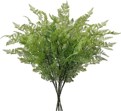 Zdjęcie produktu dla Sztuczna gałąź paproci Pteridium 76 cm długości 3 gałęzie