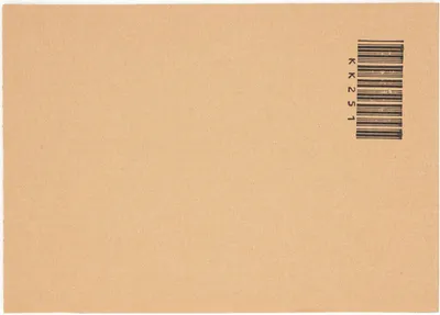 Produktbild von 1200 Kartonzuschnitte 210 x 297 mm DIN A4 Wellpappzuschnitte Wellpappe