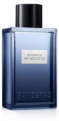 Obrázok produktu pre Banderas Essence of Success toaletná voda 100 ml (pre mužov)
