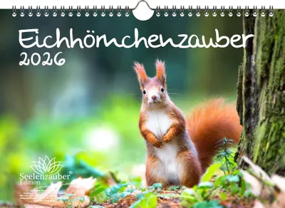 Produktbild von Eichhörnchenzauber DIN A4 Kalender für 2026 Eichhörnchen Seelenzauber