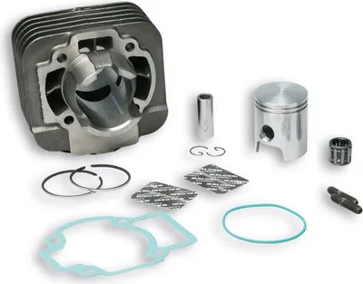 Produktbild von Malossi Gusseisenzylinder D 40 für 318520
