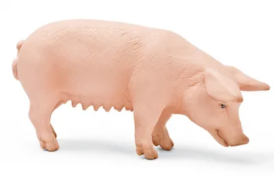 Immagine prodotto di Schleich 13288 Maiale, in piedi