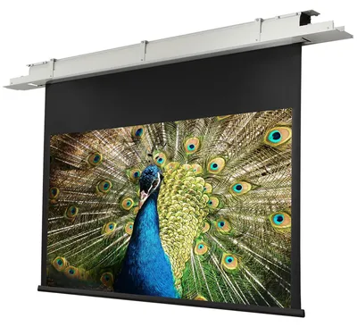 Produktbild von Celexon 1090196, Motorisiert, 140 cm, 2,5 m, 16:9
