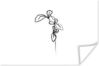 Produktbild von MuchoWow® Poster Blumen - Pflanzen - Strichzeichnungen 180x120 cm - Fotoplakat