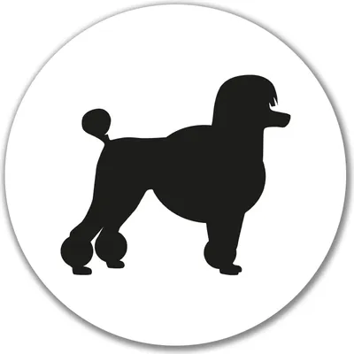 Produktbild von Huuraa Aufkleber Pudel Silhouette 10cm rund Sticker Geschenkidee
