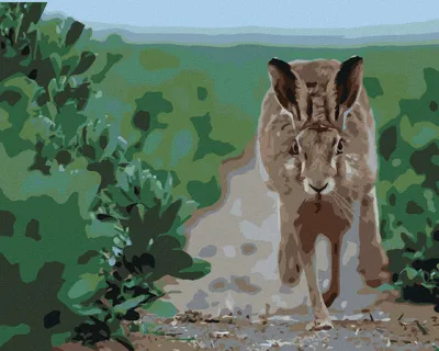 Produktbild von Zuty - Malen nach Zahlen - LAUFENDER HASE, 40x50 cm, mit Keilrahmen (bereits gespannt)