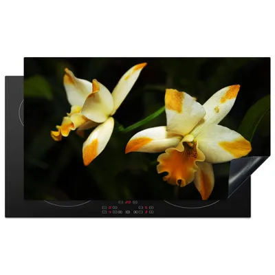 Produktbild von KitchenYeah© Herdabdeckplatte Zwei Orchideenblüten , 90x52cm, Küche Deko, Glaskeramikkochfeld Herdabdeckung, Abdeckplatte fùr Kochfeld