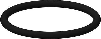 Immagine prodotto di KWC AR O-Ring, 22x2mm, 2000104616