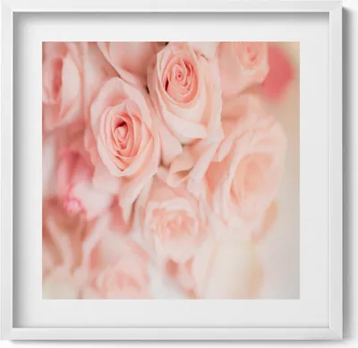 Produktbild von Romantischer Blumenstrauß aus Rosen– Wandbild mit Rahmen – Gerahmtes Bild  – Wanddekoration – 50x50 cm –  Weiß Rahmen