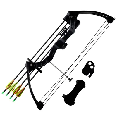 Produktbild von "im Angebot" Compoundbogen mit Zubehör und Aluminiumpfeilen für Jugendliche - Gripzangen CC25061