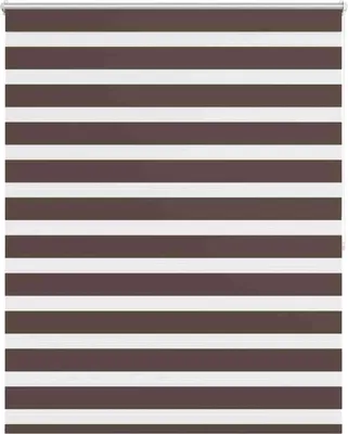 Produktbild von vidaXL Zebra-Rollo 140,9 x 175 cm, Stoffbreite 136,7 cm, Kaffeebraun