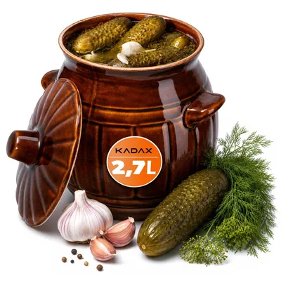 Produktbild von KADAX Gärbehälter für Hausbrauereien "Helios", Steinguttopf, Einlegtopf 2,7L