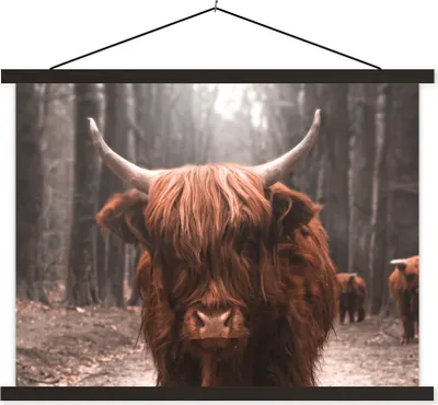 Produktbild von MuchoWow® Textilposter Schottisches Hochlandrind - Tiere - Wald 120x90 cm mit schwarzem Rahmen - Aufhänger für Poster