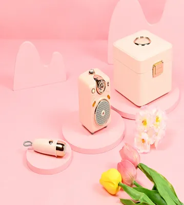 Produktbild von DIVOOM Fairy-OK BT Lautsprecher mit Mikro pink