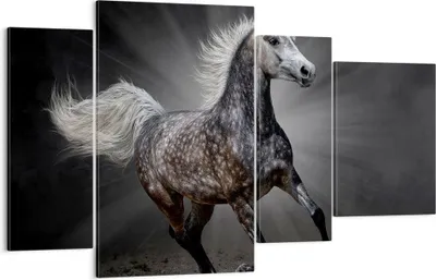 Produktbild von Bild auf Leinwand - Leinwandbild - Pferd Tier Natur - 120x70cm - Wand Bild - Wanddeko - Wandbilder - Leinwanddruck - Bilder - Kunstdruck - Wanddekoration - Leinwand bilder - Wandkunst - DL120x70-3593