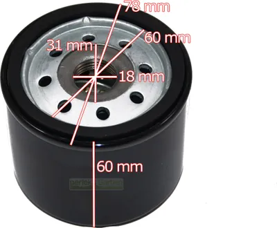 Image de Filtre à huile Briggs & Stratton Moteur 492932 492932S 4154 696854 492056 Filtre court