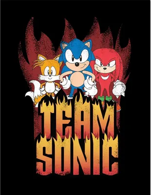 Obrázek produktu pro Ježek Sonic - zarámovaný plakát "Team Sonic" PM8664 (40 cm x 30 cm) (Vícebarevný)