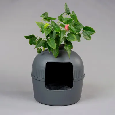 Immagine prodotto di RHRQuality Lettiera per gatti - Flower XXL Blackline - Toilette nascosta per gatti - Per gatti di grossa taglia - Con ampio ingresso (51 cm) e parte superiore rimovibile - Antracite