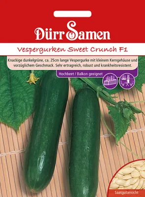 Produktbild von Dürr-Samen - Vespergurken Sweet Crunch F1 - Saatgut - 1147