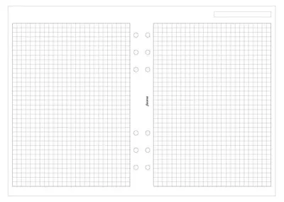 Zdjęcie produktu dla Wkład do Filofax A5: białe notatniki w kratkę