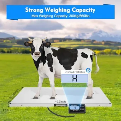 Produktbild von Digitale Tierwaage Veterinärwaage 300kg Paketwaage Hundewaage Plattformwaage 103x53cm Bodenwaage Elektronische Haustierwaage Wägeeinheit kg/oz/lb mit LCD Display