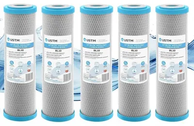Image de 5 cartouches de charbon pour filtre à eau 10 USTM BL10