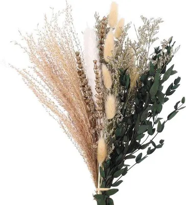 Produktbild von Famanu Trockenblumen Set - Dekoration mit Pampasgras und Eukalyptus, ca. 22 Stück