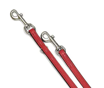 Image de Karlie VINTAGE Laisse de présentation - Rouge 14 mm, 200 cm