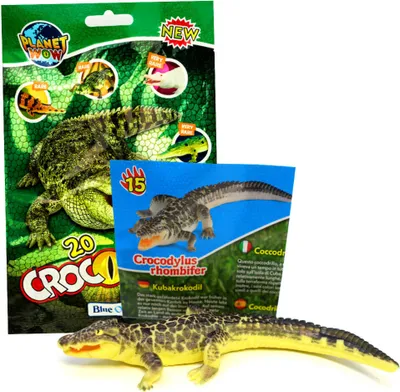 Produktbild von Blue Ocean Crocodiles Sammelfiguren 2025 - Planet Wow - Figur 15. Kubakrokodil